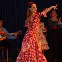 Cuadro Flamenco Laura Pirri en el Castillo
