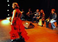 Espectáculo Flamenco 