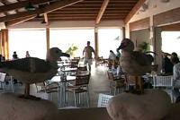 Hacer clic para ampliar La Gaviota - Hotel Playa de la Luz